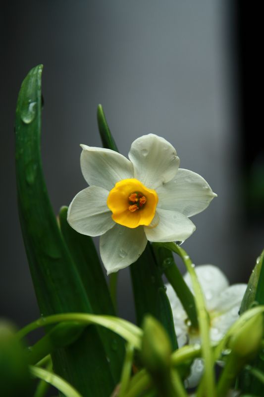 ���ľ���