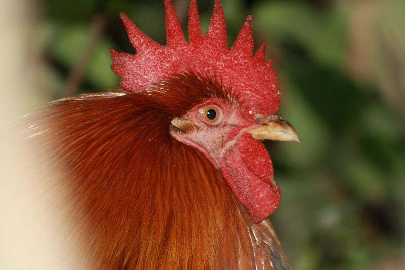 ��Щ�Խ���׼