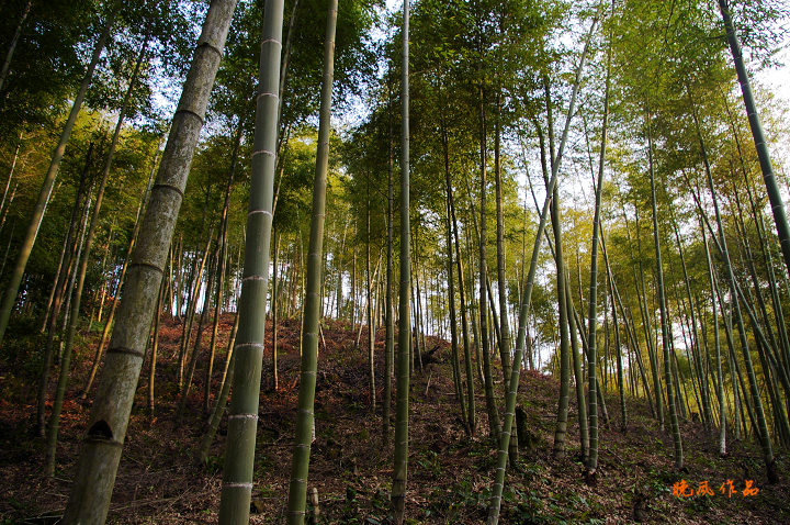 ԭ������һ·�������ֺ�