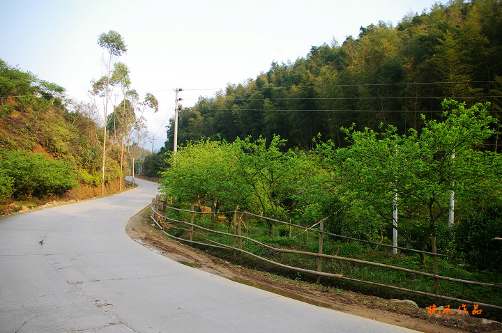 ���������ĵ�·