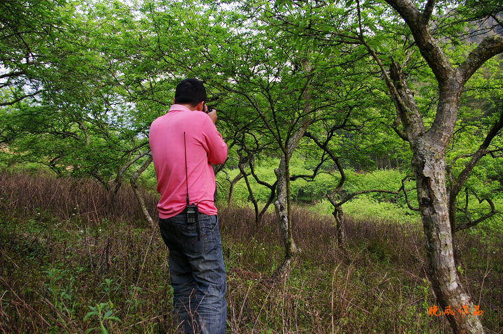 �״�ʹ���ڴ���