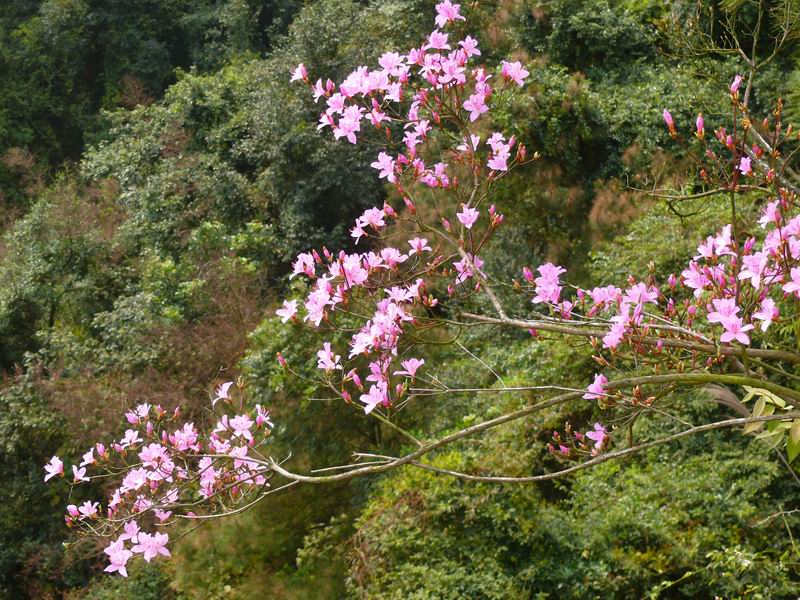 ������С �ʼܴ�Խ021.JPG