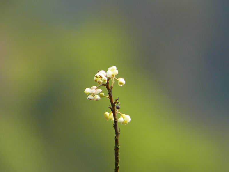 ������С �ʼܴ�Խ018.JPG