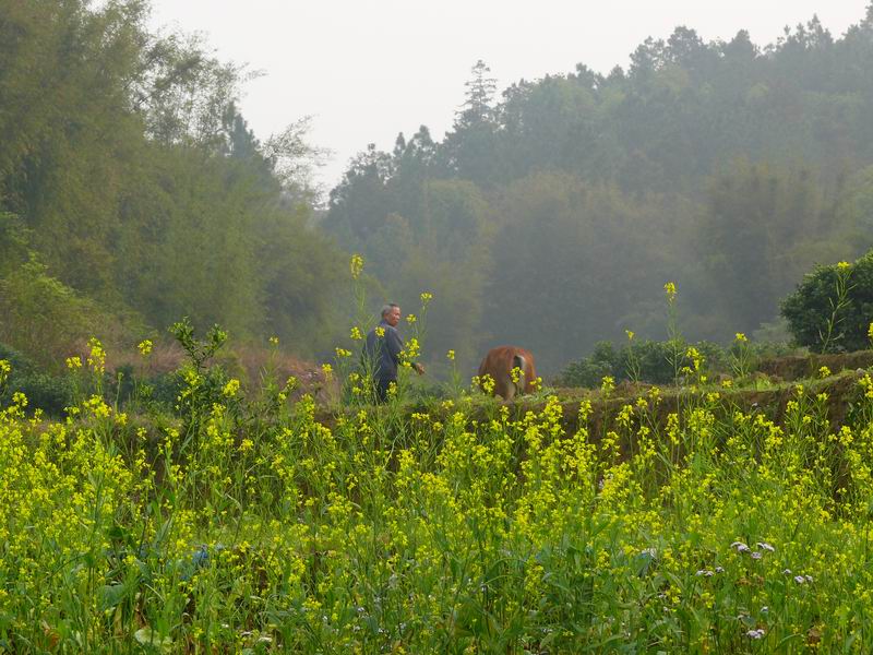 ������С �ʼܴ�Խ003.JPG