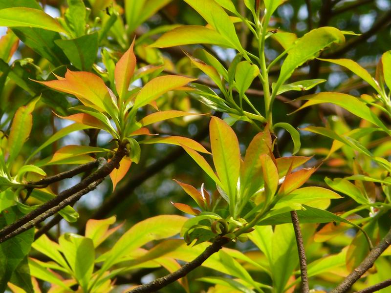 ������С �ʼܴ�Խ009.JPG