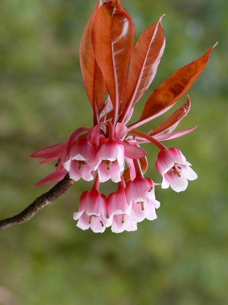 ������С �ʼܴ�Խ058.JPG