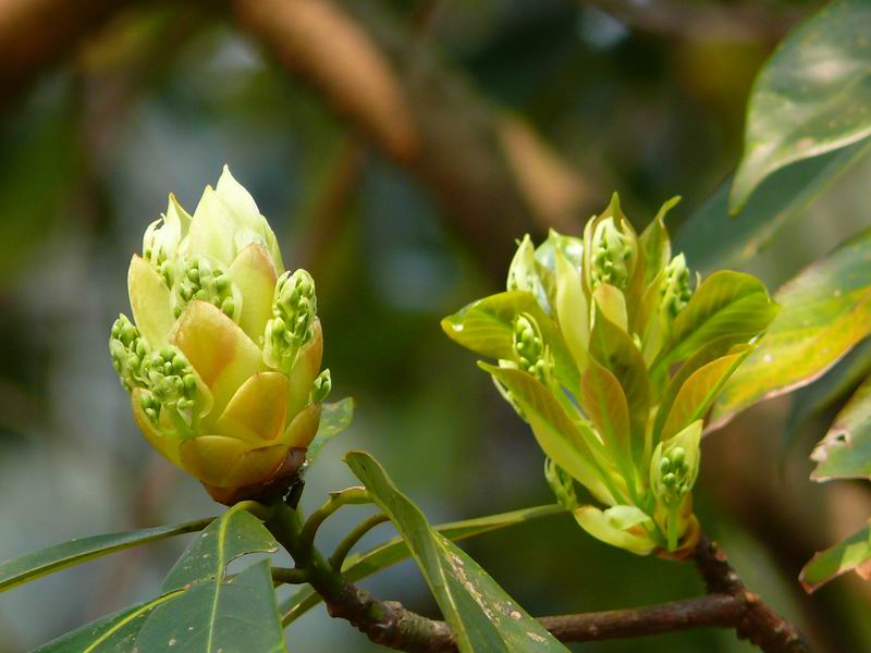 ������С �ʼܴ�Խ011.JPG