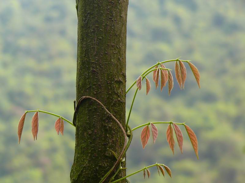 ������С �ʼܴ�Խ017.JPG