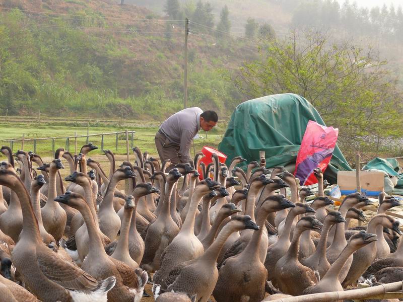 ������С �ʼܴ�Խ004.JPG