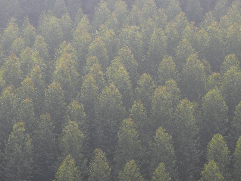 ������С �ʼܴ�Խ007.JPG