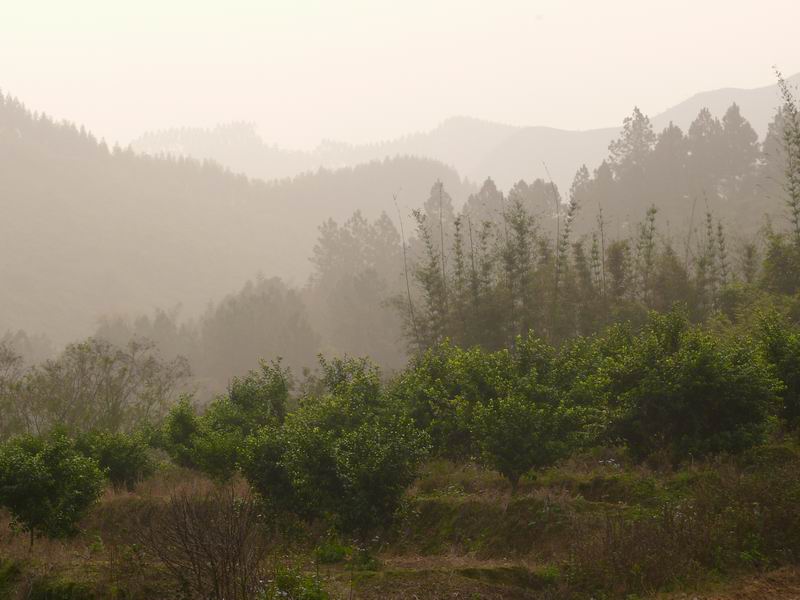 ������С �ʼܴ�Խ005.JPG