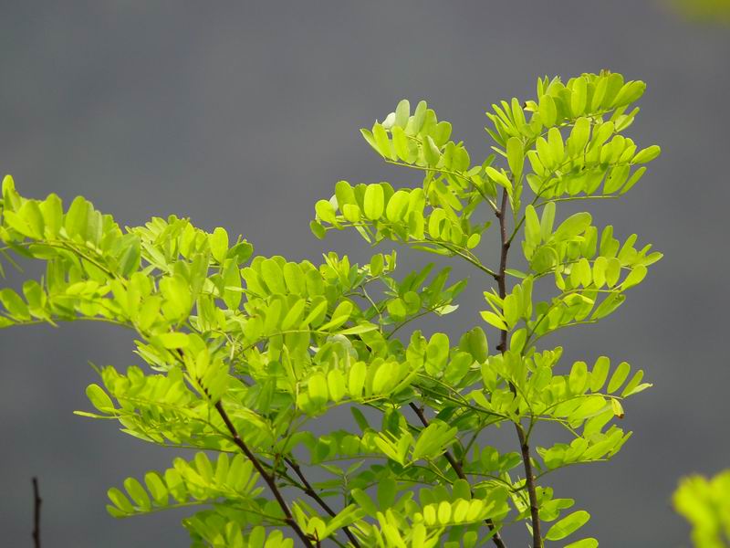 ������С �ʼܴ�Խ012.JPG