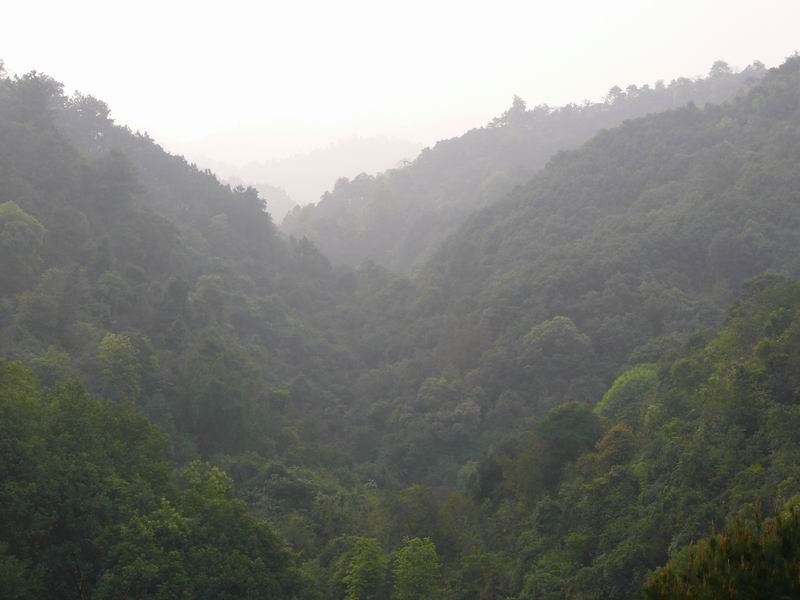 ������С �ʼܴ�Խ006.JPG