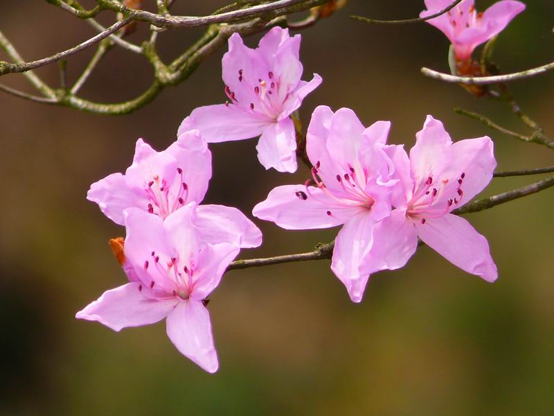 ������С �ʼܴ�Խ026.JPG