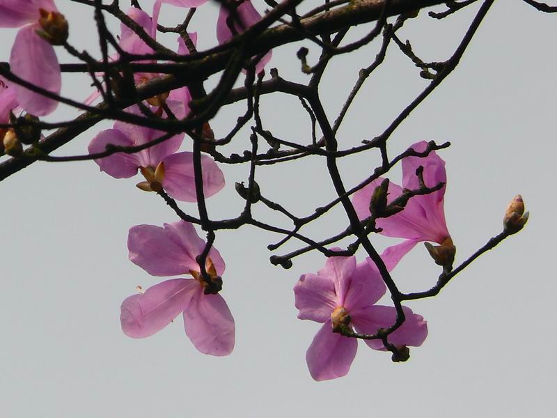 ������С �ʼܴ�Խ024.JPG