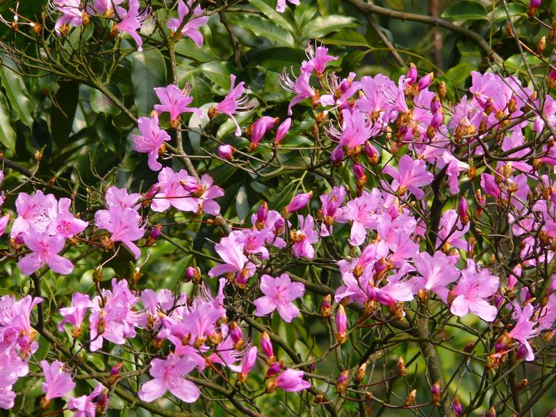 ������С �ʼܴ�Խ022.JPG