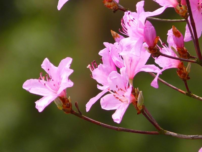 ������С �ʼܴ�Խ025.JPG