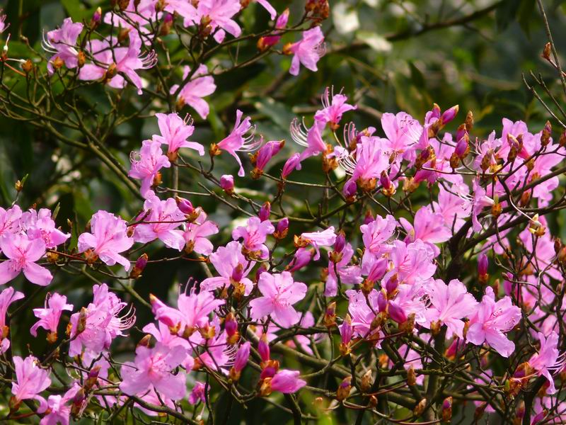 ������С �ʼܴ�Խ023.JPG