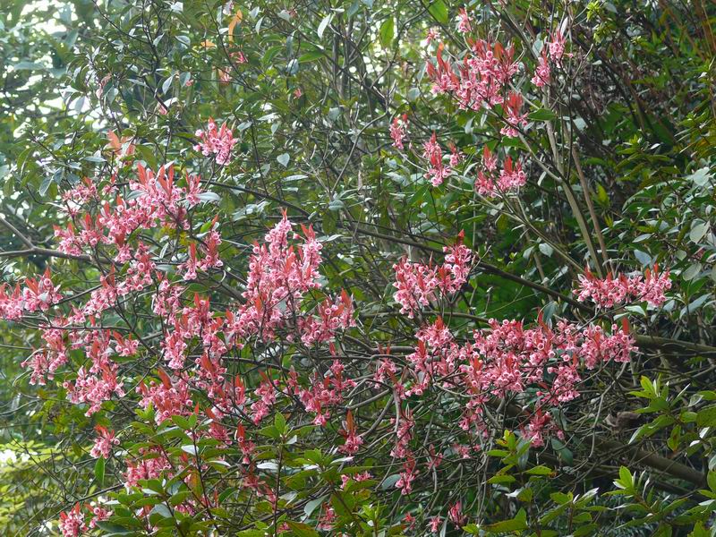 ������С �ʼܴ�Խ051.JPG