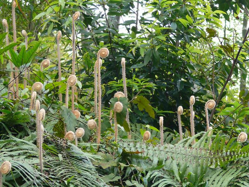 ������С �ʼܴ�Խ048.JPG