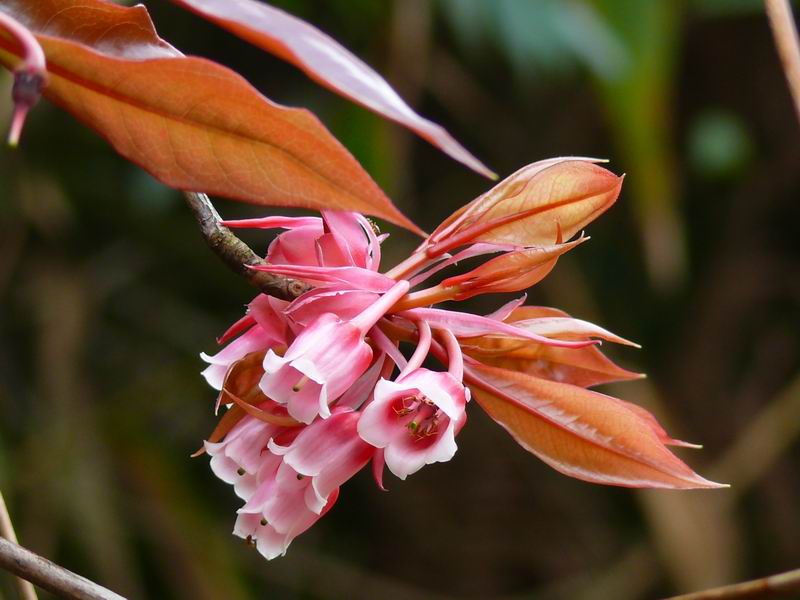 ������С �ʼܴ�Խ057.JPG