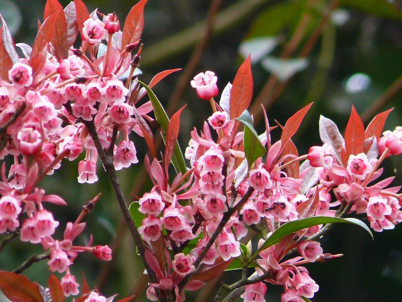 ������С �ʼܴ�Խ053.JPG