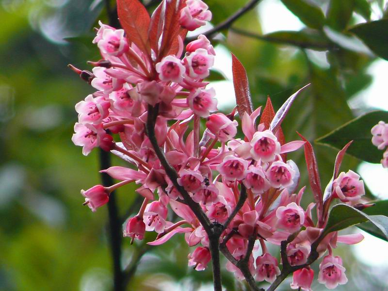 ������С �ʼܴ�Խ055.JPG