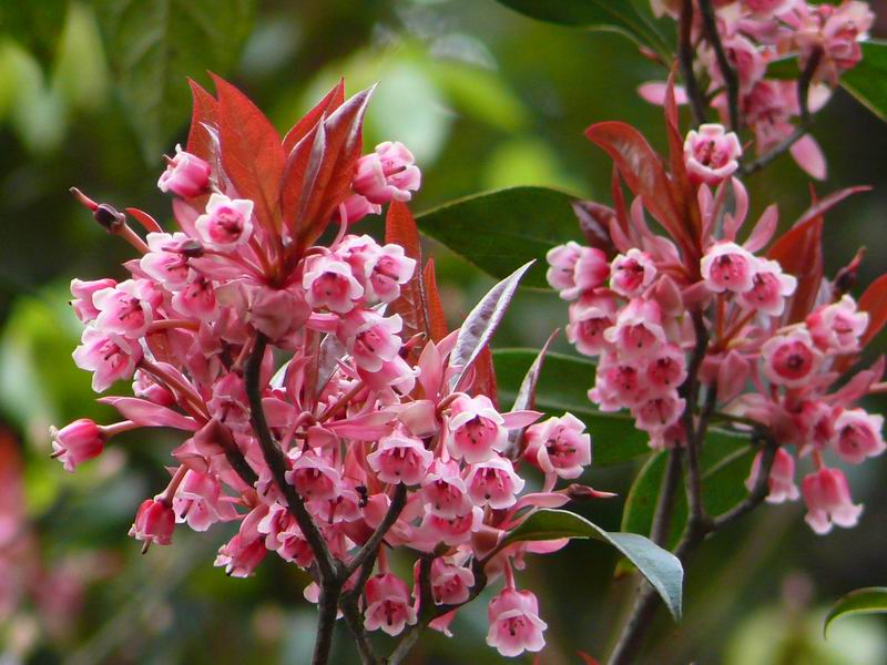 ������С �ʼܴ�Խ054.JPG