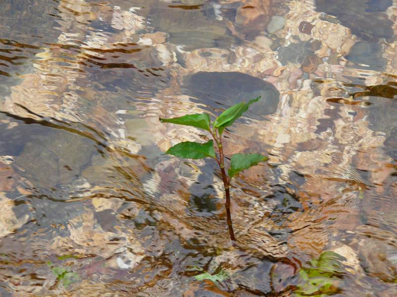 ������С �ʼܴ�Խ045.JPG