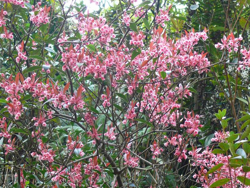 ������С �ʼܴ�Խ052.JPG