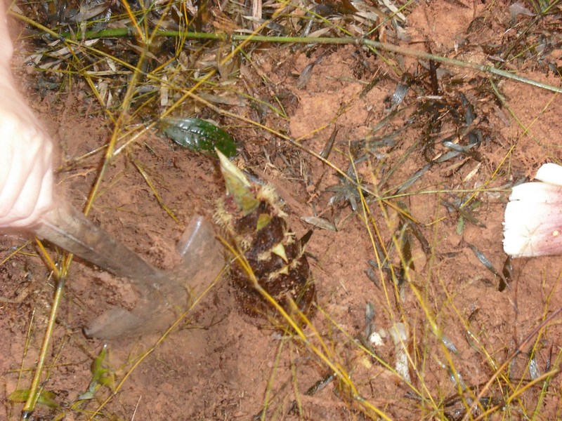 ��·��������