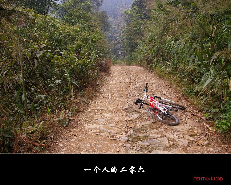 ����̤��206�ռ���̬·��