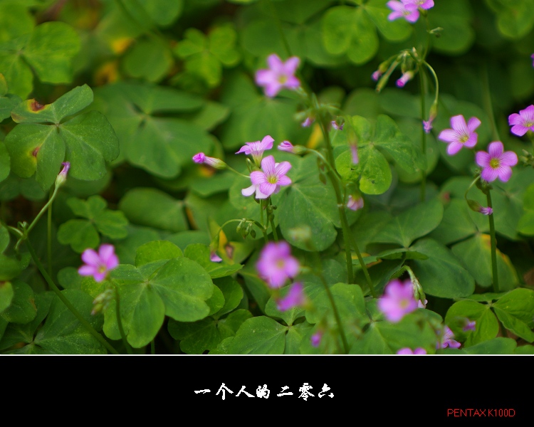 ��·���Զ����������С���������㴺�����Ϣ��