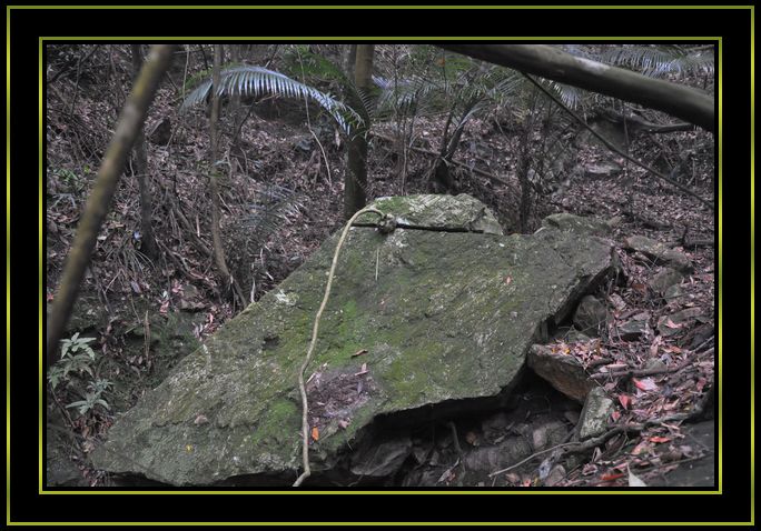 ��̾�����ļ�ǿ,��Ȼ����ʯ����.