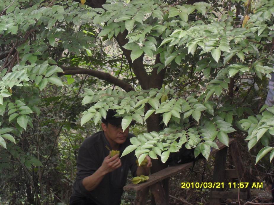 ������С SAM_1809.JPG