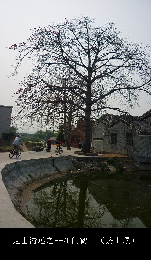 ���µ�ũ������