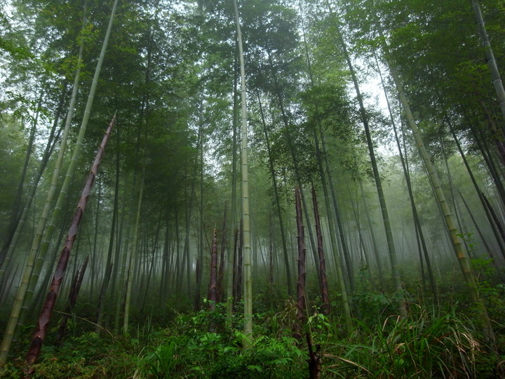 ;������