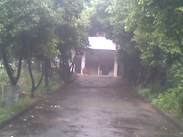 ǰ��þ��ǽ�ѧ¥������֪�����ܷ�ǵá�������һ�񹷣��Ҳ��ҽ�ȥ�ˡ�