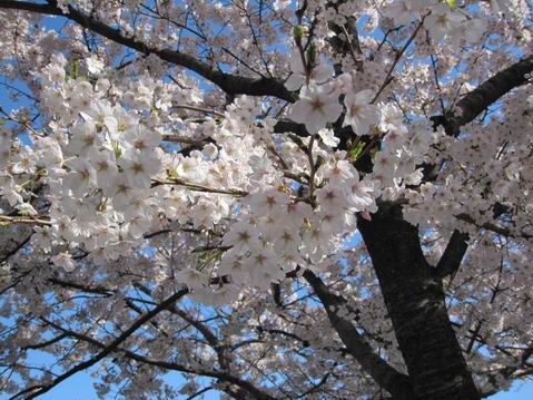 ������С IMG_3541.jpg