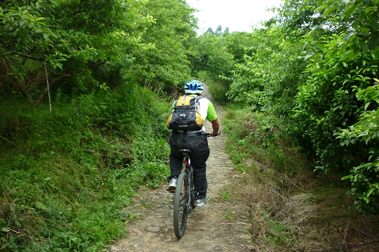 ��С����Խ