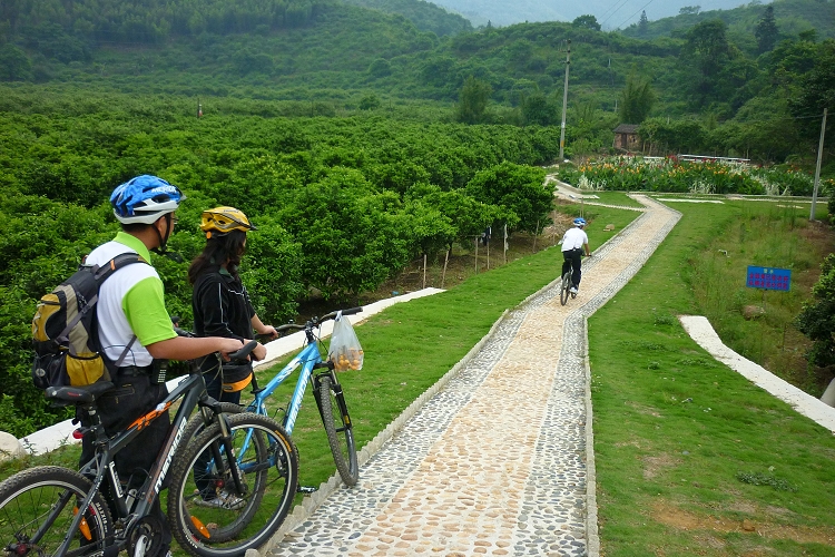 �˹��̵�,�̵���������