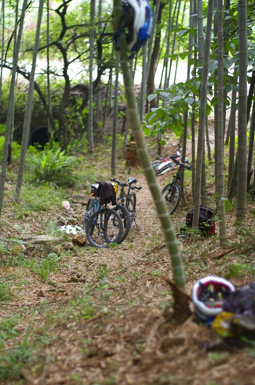 �����̲�ס������Ŀ���