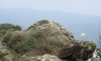 �����ڹ���Ĳ���