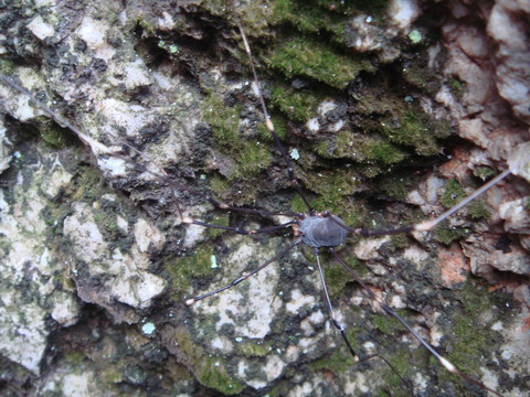 ���� DSC04022.JPG