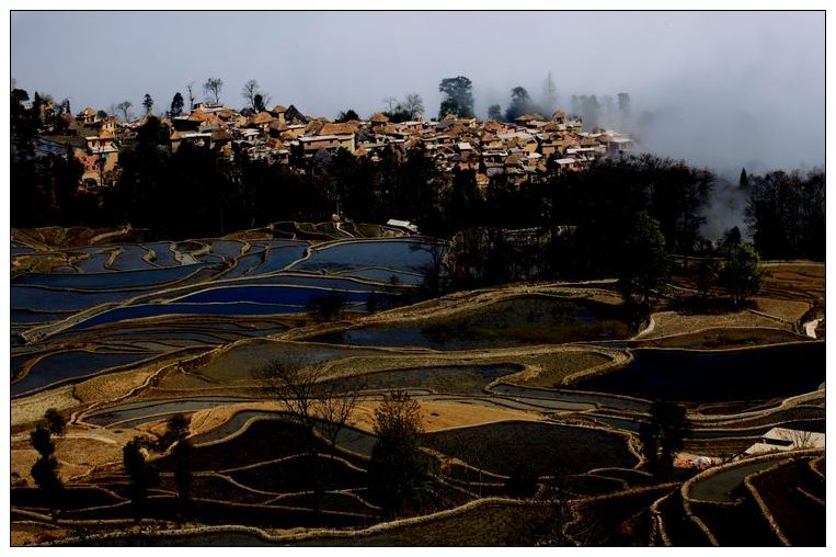 2010����֮�� 256.jpg