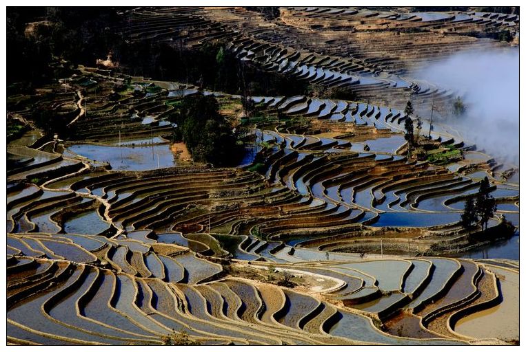 2010����֮�� 238.jpg