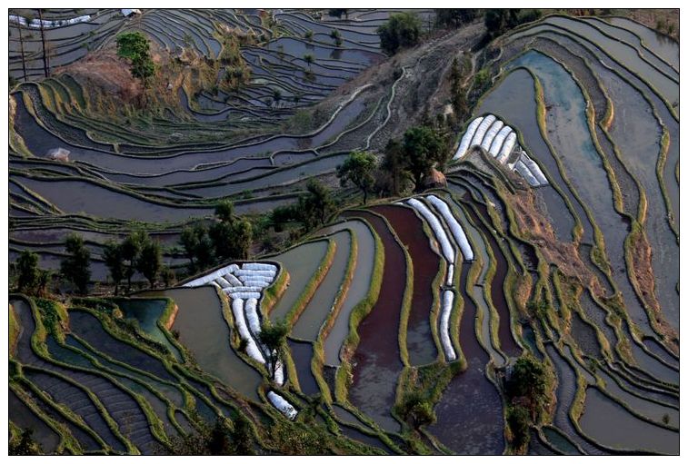 2010����֮�� 375.jpg