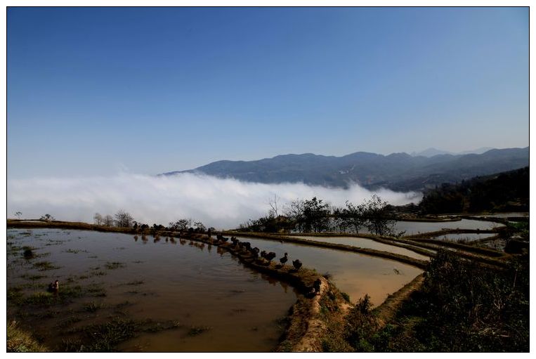 2010����֮�� 260.jpg