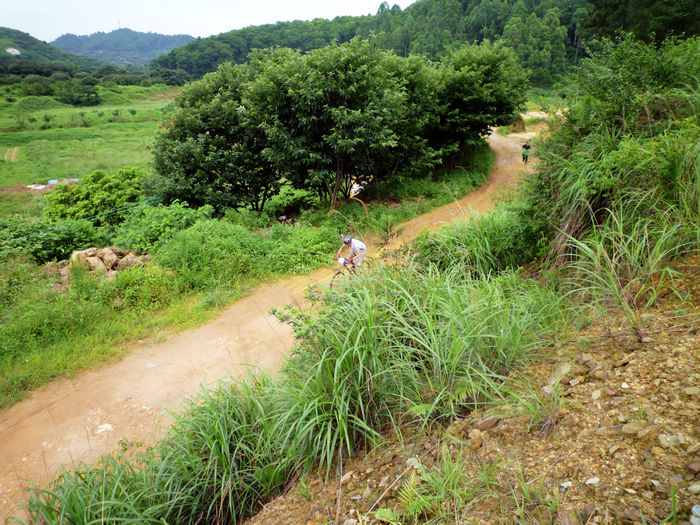 P1000667 - ����.jpg