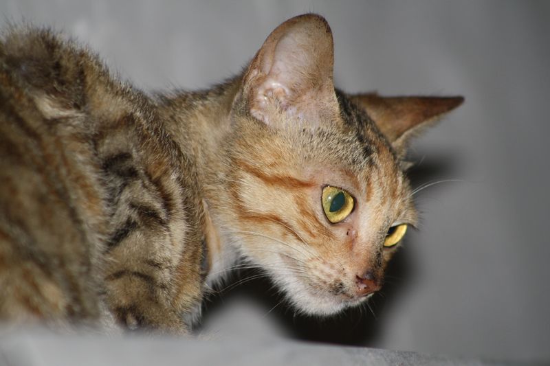 ����ɽ 079.jpg